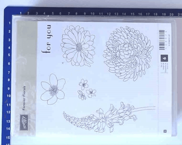 Stampin up &quot;forever floral&quot;