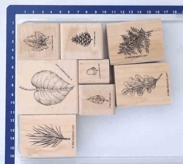Stampin up &quot;fantastic foilage&quot;